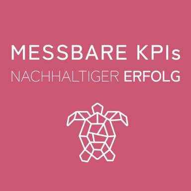 Logo mit Schildkröte und dem Text "Messbare KPIs – Nachhaltiger Erfolg".